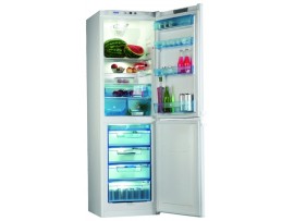 Холодильник двухкамерный бытовой POZIS RK-128
